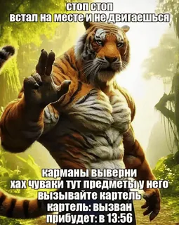 🫃 СТОП СТОП
встал на месте и не двигаешься
карманы выверни
хах чуваки тут предметы у него
вызывайте картель
картель: вызван
прибудет: в 13:56 tigre, animal, mème, drôle, cartel, humour telegram sticker