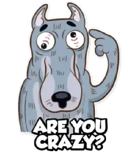😂 ARE YOU CRAZY? dog, crazy, cartoon, question, confused telegram sticker