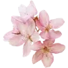 @angigiig @TgEmojis_bot telegram emojis 💐