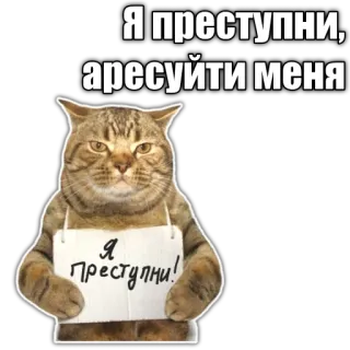 🥷 Я преступни, арестуйте меня
Я преступни! cat, arrest, crime, russian, sticker telegram sticker
