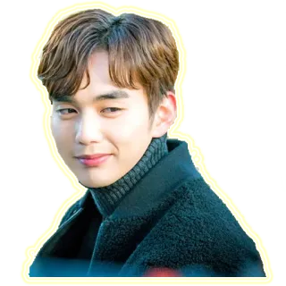 😊 man, portrait, korean, actor, celebrity telegram sticker