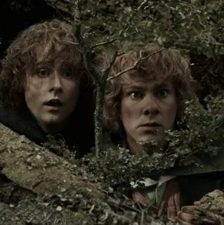 💍 Pippin The Lord of the Rings Pippin, Senhor dos Anéis, Hobbit, Fantasia, Filme, Personagem whatsapp sticker