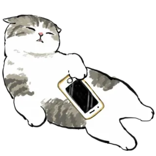 😴 Katze, Handy, Tier, süß, Haustier, Kätzchen, Hauskatze whatsapp sticker