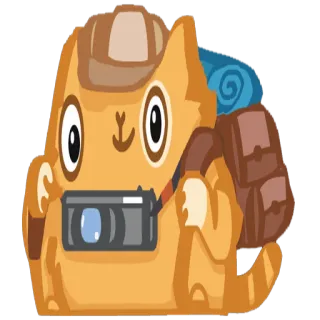 📷 cat, travel, camera, backpack, tourist, animal telegram sticker