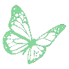 💚