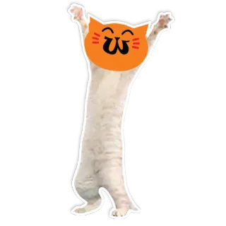 😃 Katze, Sticker, süß, fröhlich, Tier telegram sticker