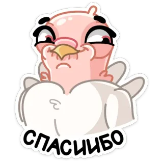 😊 СПАСИБО burung, imut, terima kasih, binatang, kartun, merah muda telegram sticker