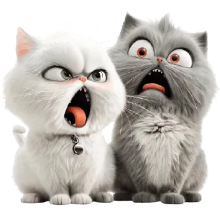 😤 кот, злой, испуганный, котенок, домашние животные, животные telegram sticker