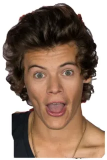 😳 Harry Styles Harry Styles, singer, celebrity, pop star, One Direction telegram sticker