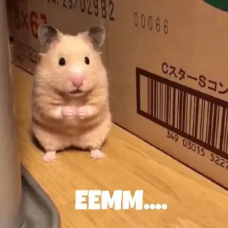 ❤️ EEMM..... hamster, schattig, dier, knaagdier whatsapp sticker