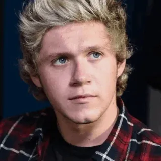 ✨ Niall Horan ไนออล ฮอแรน, วันไดเรกชัน, นักร้อง, คนดัง, นักดนตรี, คน telegram sticker