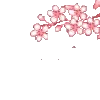🌸