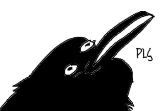 😌 Haa cuervo, pájaro, animal, negro, dibujo animado whatsapp sticker