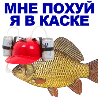 🐠 poisson, bière, chapeau, boire, insolite, amusant whatsapp sticker