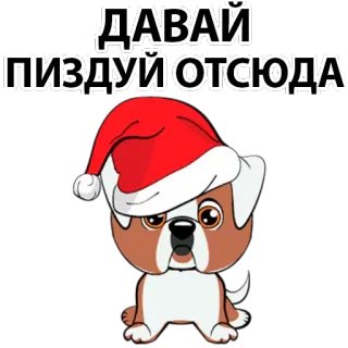 😞 ДАВАЙ ПИЗДУЙ ОТСЮДА dog, santa hat, offensive, russian, cartoon dog telegram sticker