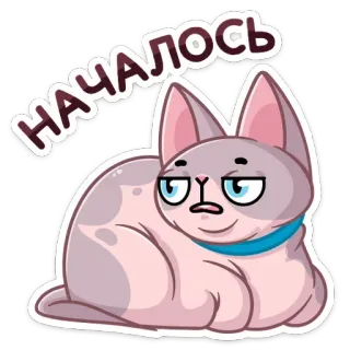 😐 Началось gatto, adesivo, russo, testo, meme telegram sticker