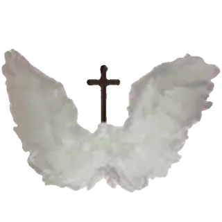 🪽