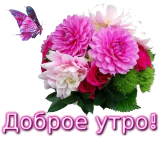 🌸 Доброе утро! flowers, butterfly, good morning, bouquet telegram sticker