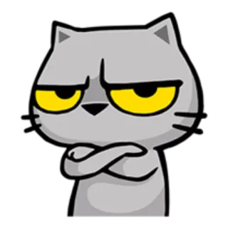 😒 cat, cartoon, angry, frustrated, expression, crossed arms, grey cat telegram sticker