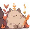 🐱