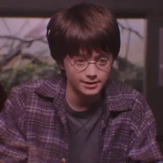 🦁 Harry Potter Daniel Radcliffe, mago, magia, película, fantasía whatsapp sticker