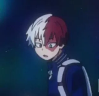 🍉 Shoto Todoroki My Hero Academia Anime, My Hero Academia, Shoto Todoroki, MHA whatsapp sticker