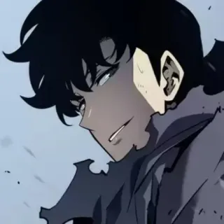 😕 Sung Jinwoo Solo Leveling Anime, Solo Leveling, Sung Jinwoo, Personnage, Manhwa, Fantaisie telegram sticker