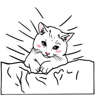 😴 Katze, Kätzchen, süß, Tier, Haustier, Zeichnung telegram sticker