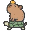 🐢