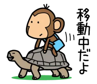 🐵 ลิง, เต่า, สัตว์, การ์ตูน, น่ารัก, ขี่ telegram sticker