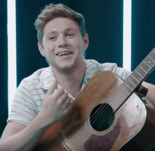 🎸 Niall Horan músico, guitarra, cantor, Niall Horan, One Direction telegram sticker