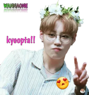 ✌ kyeopta!! coreano, persona, corona di fiori, occhiali, segno di pace whatsapp sticker