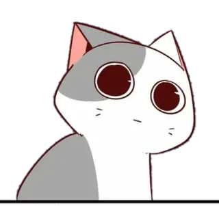 😸 แมว, สัตว์, สติกเกอร์, การ์ตูน, น่ารัก, สีเทา, สีขาว whatsapp sticker