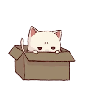 😶 kot, pudełko, kociak, zwierzę, słodki, kawaii telegram sticker