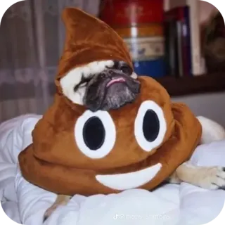 🧸 @dogs_smons telegram sticker