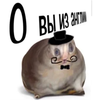 🇬🇧 Вы из Англии hamster, hat, mustache, bow tie, meme, funny telegram sticker