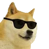 😎