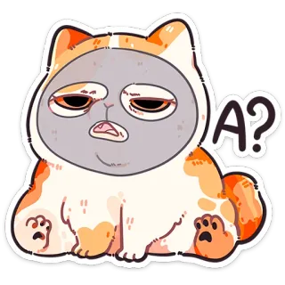 🐱 A? gatto, domanda, stanco, carino, animale telegram sticker