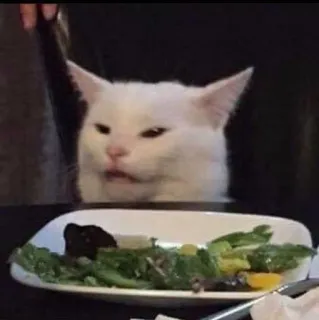 😟 cat, meme, salad, dinner, angry, unhappy telegram sticker