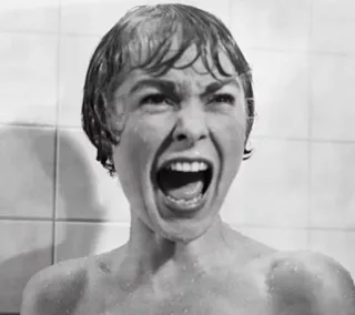 😱 Marion Crane Psycho horror, black and white, scream, shower scene, movie, Alfred Hitchcock telegram sticker