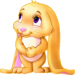 👀 兔子, 可爱, 动物, 卡通, 插画, 兔 whatsapp sticker