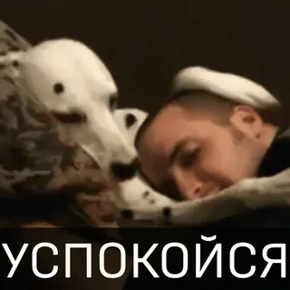 ☺️ УСПОКОЙСЯ cane, calmati, testo russo, uomo, animale, adesivo telegram sticker