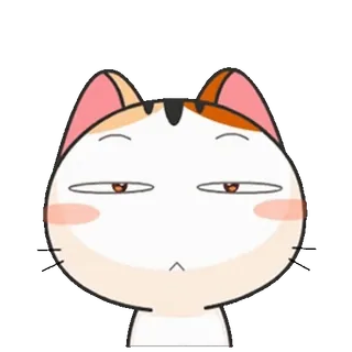 😑 แมว, สัตว์, การ์ตูน, สติกเกอร์, ตลก, ภาพประกอบ telegram sticker