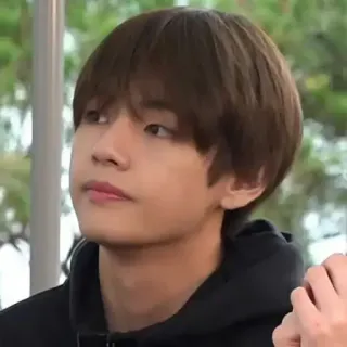 🏁 V kpop, bts, v, koreanischer sänger, idol, promi telegram sticker