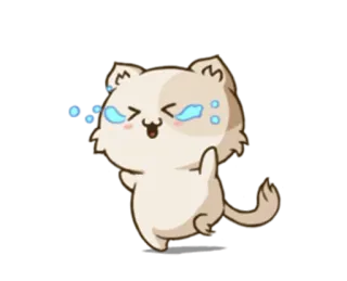 😭 kot, środkowy palec, obraźliwe, gest, słodki, kreskówka, zwierzę telegram sticker