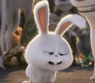 🍭 Snowball The Secret Life of Pets Hase, Häschen, süß, Haustier, Tier, Cartoon, lustig telegram sticker
