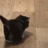 🚶‍♂️