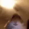 🐹