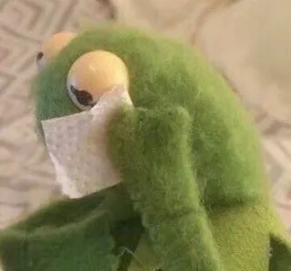 🌟 Kermit Kermit der Frosch, Muppet, Meme, traurig, weinend, Taschentuch whatsapp sticker