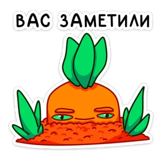 👀 ВАС ЗАМЕТИЛИ морковь, овощ, смешной, заметил, глаза, мультфильм whatsapp sticker
